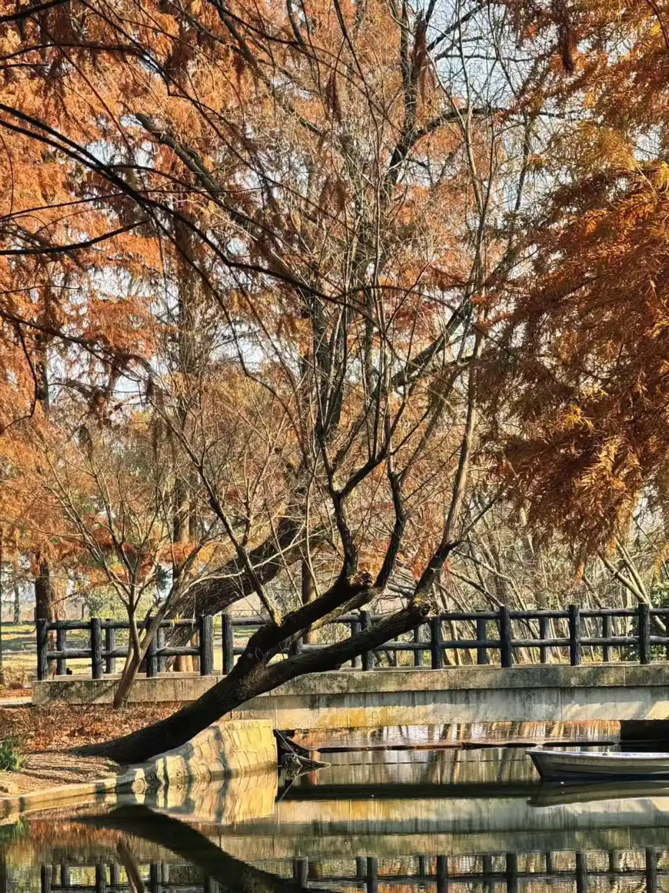Winter in Shanghai