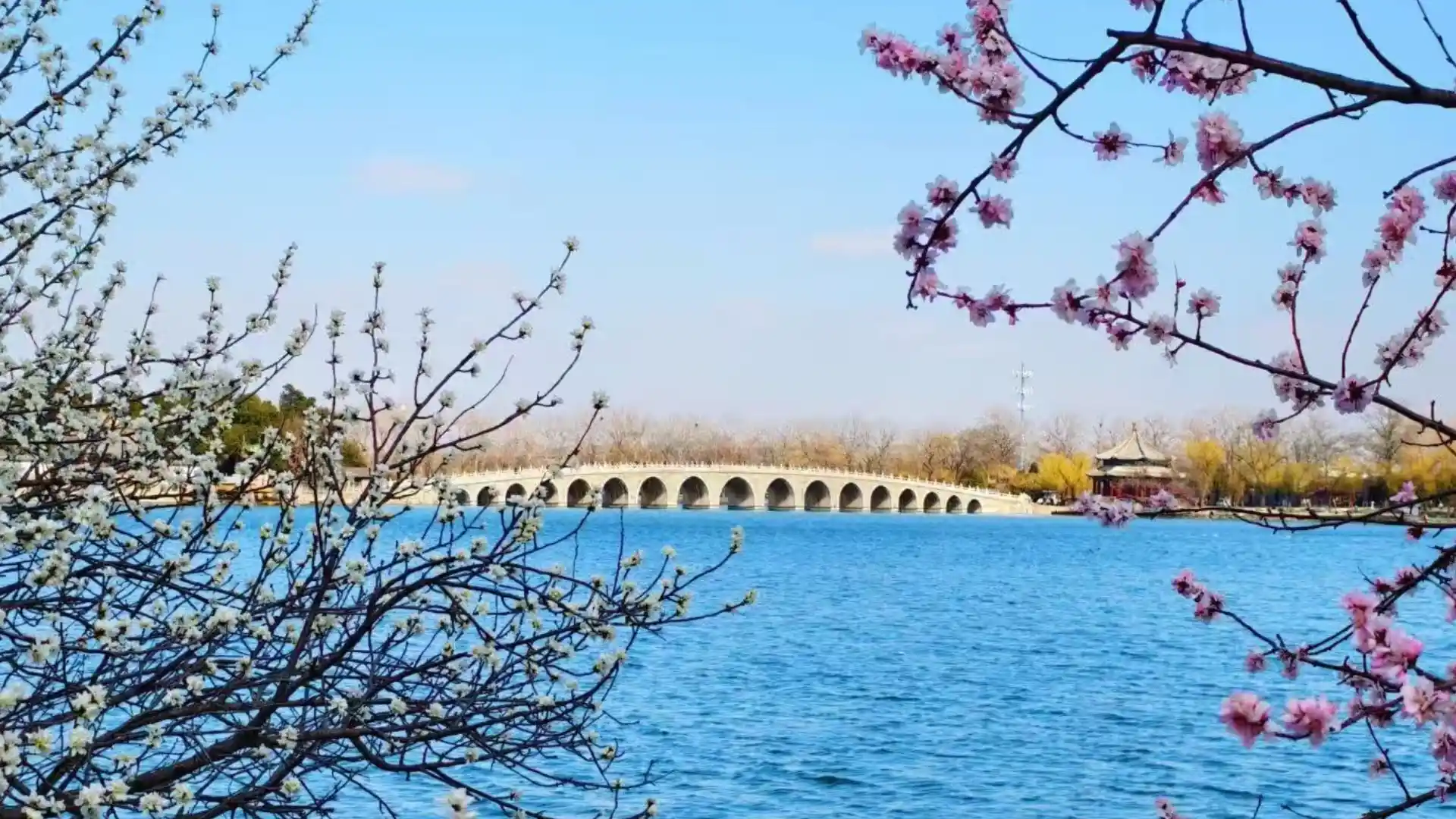Spring in Beijing