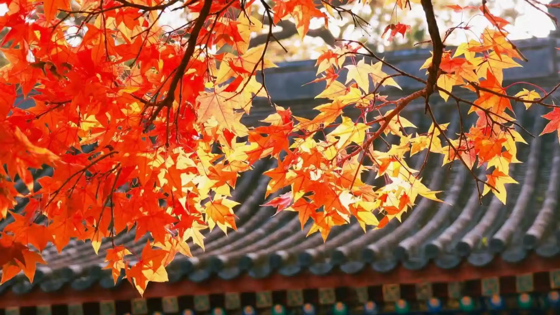 Autumn in Beijing