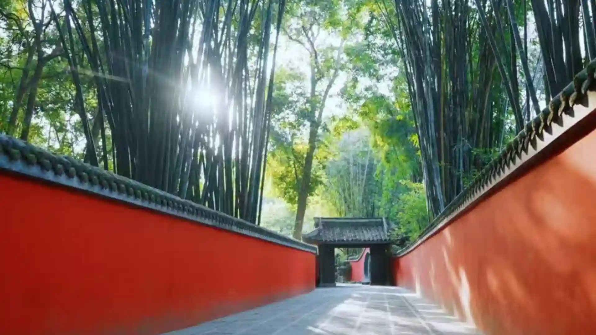 Spring in Chengdu