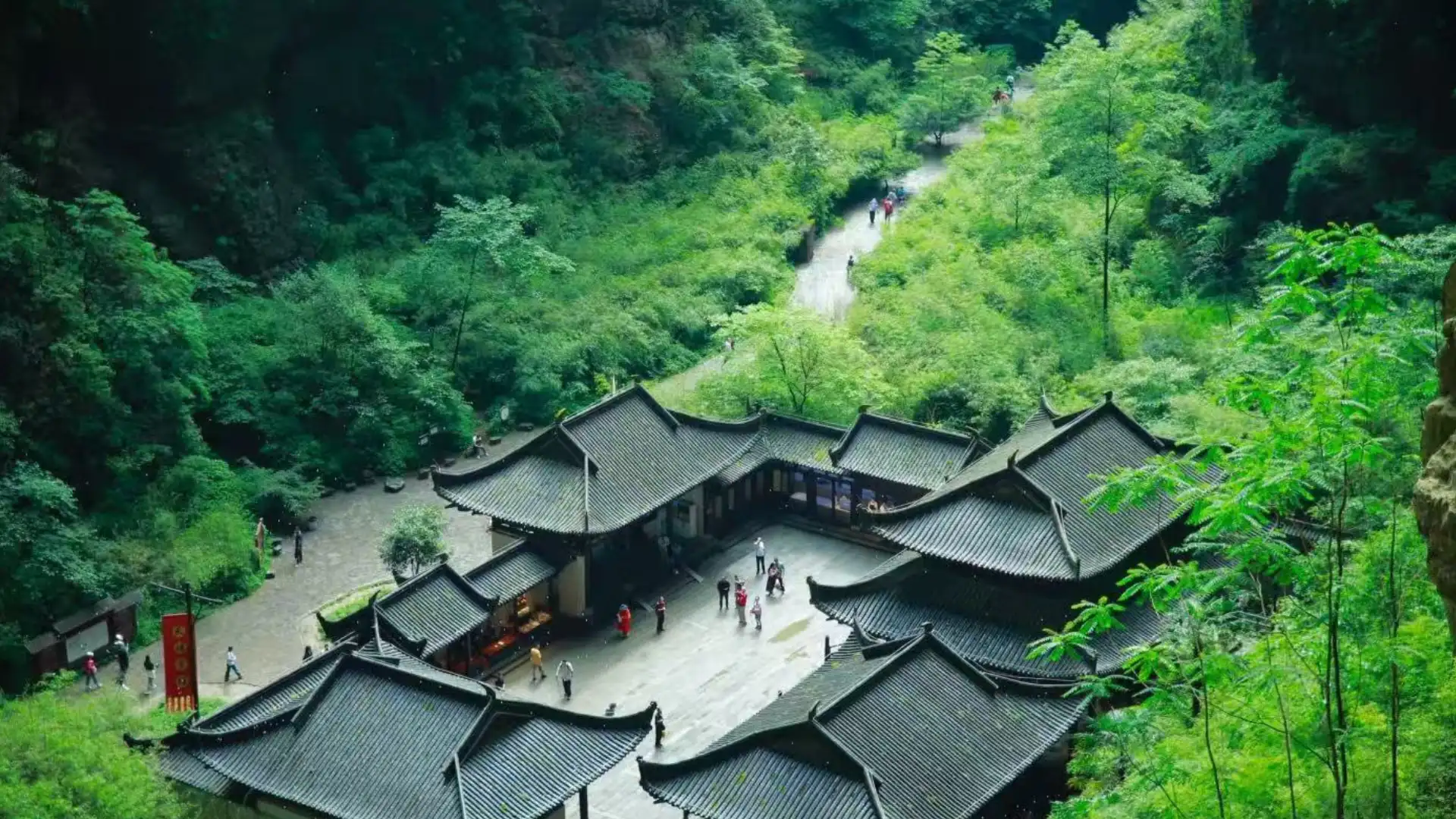 Wulong