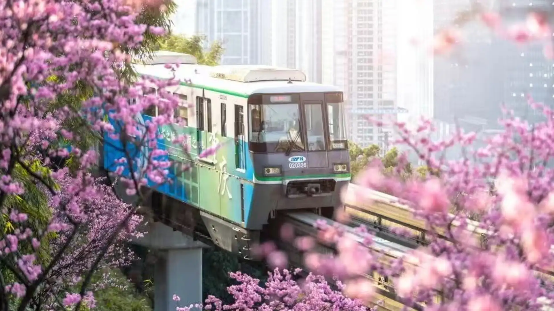 Spring in Chongqing