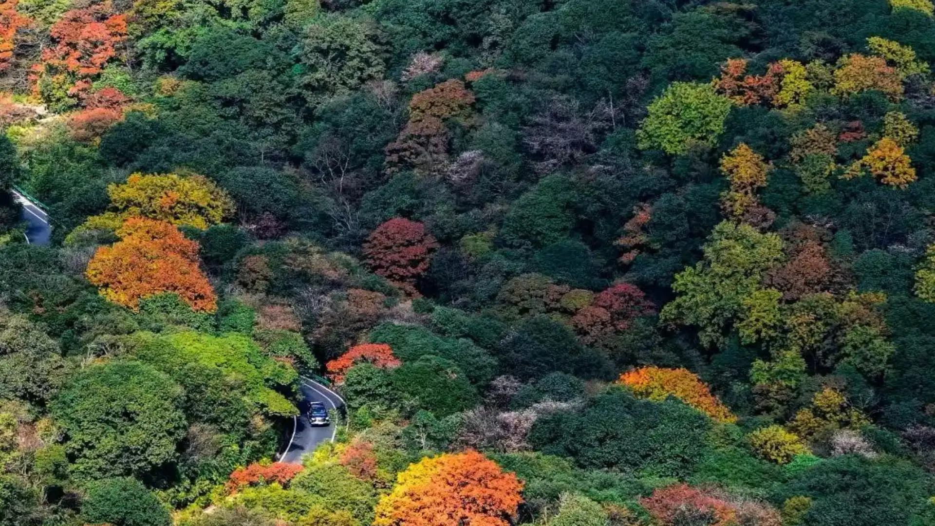 Autumn in Chongqing
