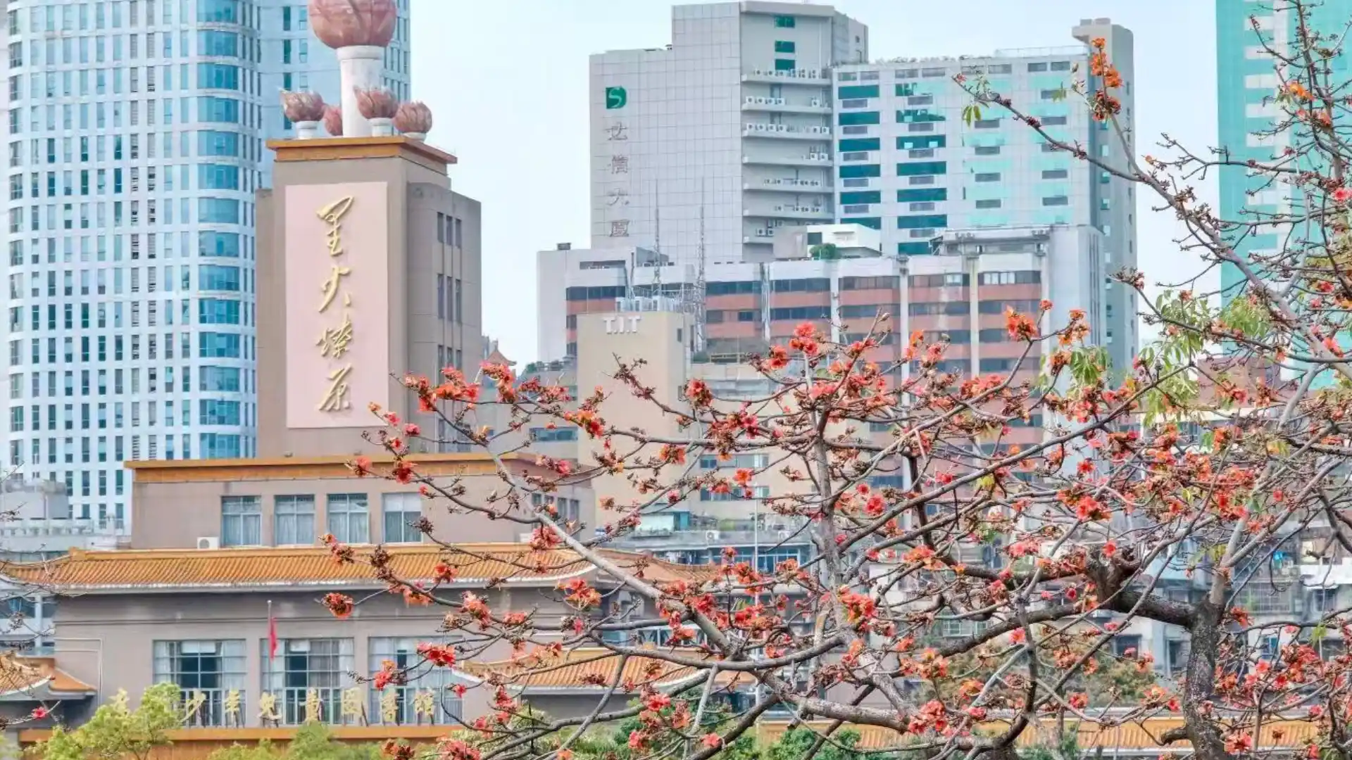 Spring in Guangzhou