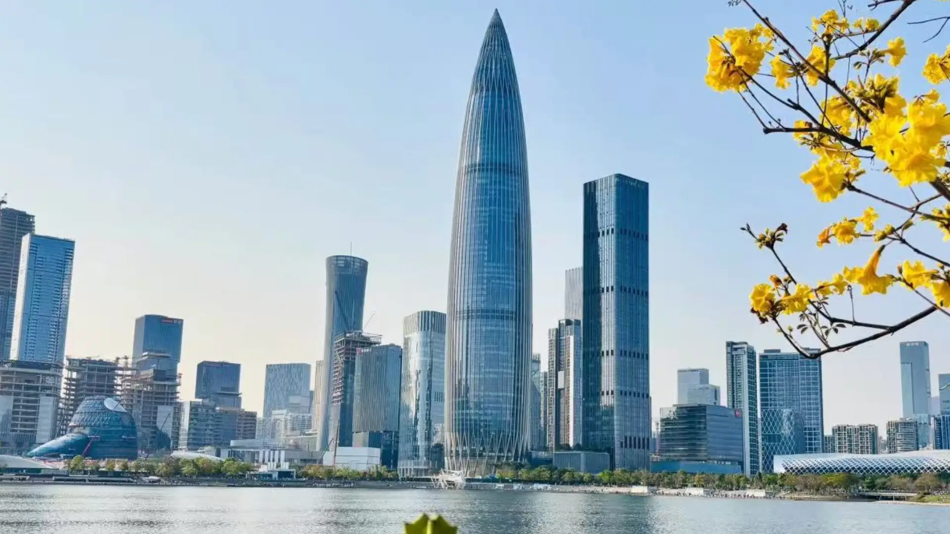 Spring in Shenzhen
