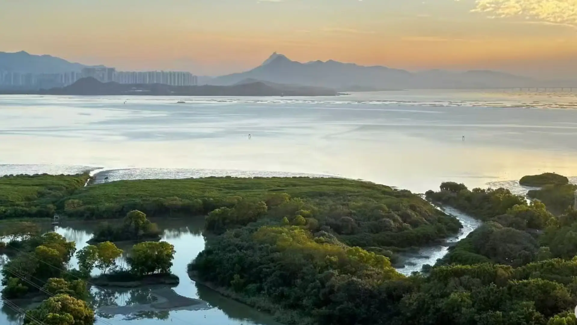 Autumn in Shenzhen