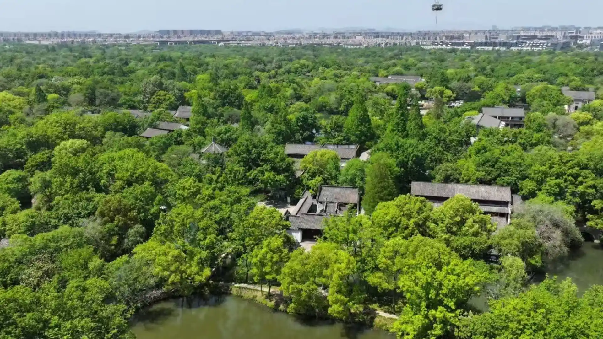 Xixi Wetland Tranquility