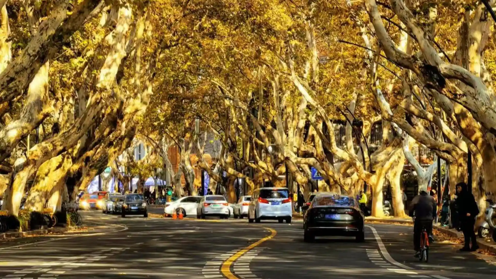 Nanshan Road