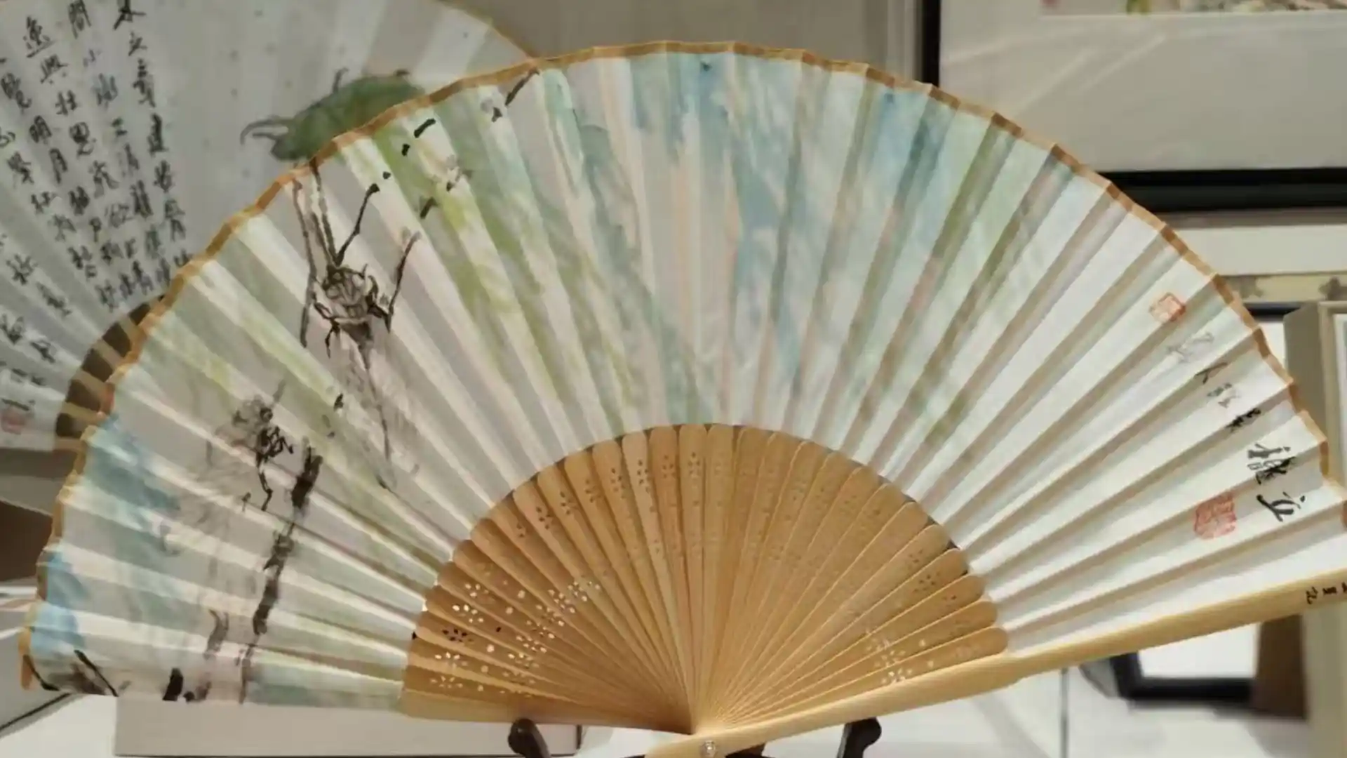 Wangxingji Fans