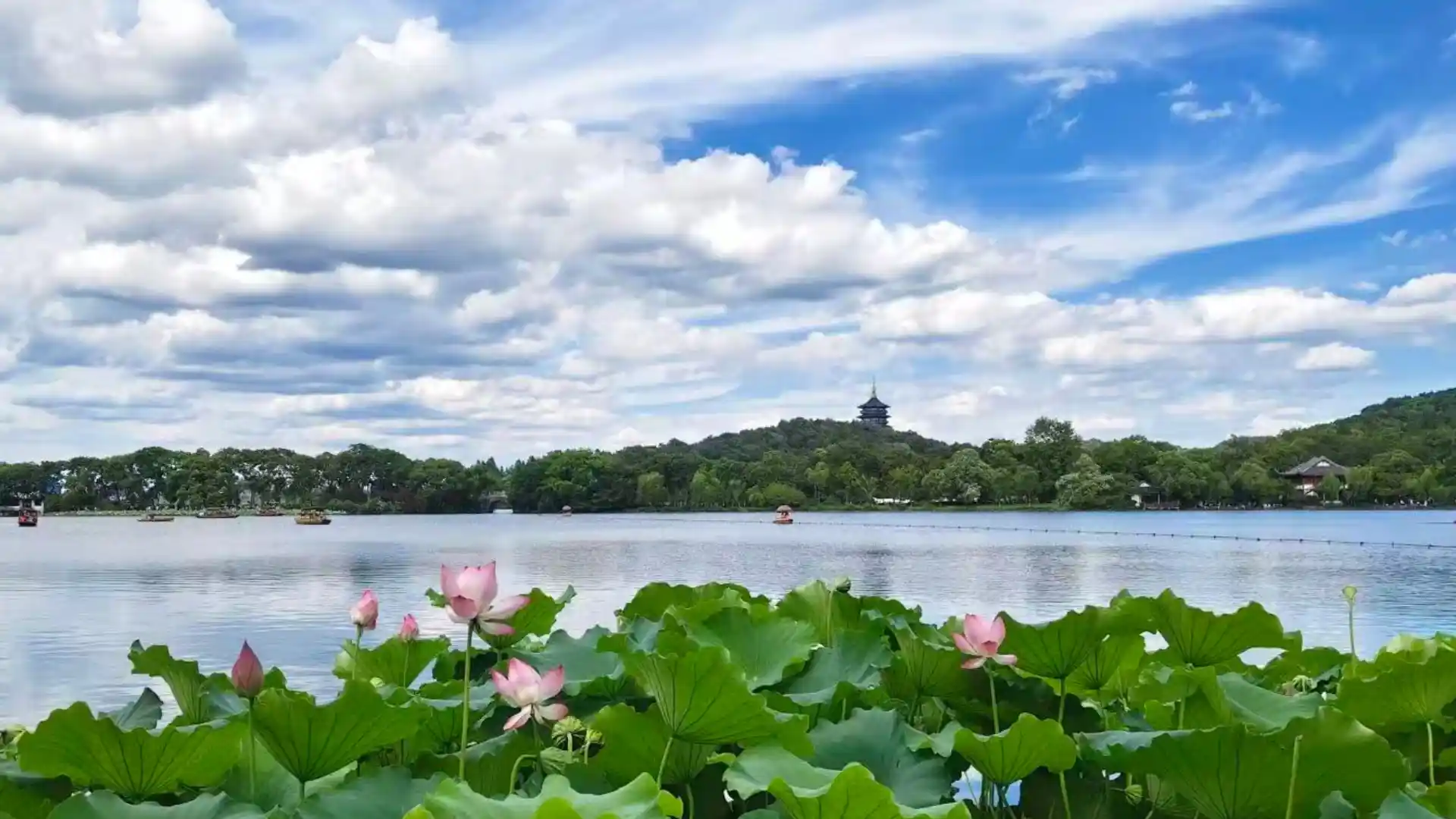 Summer in Hangzhou