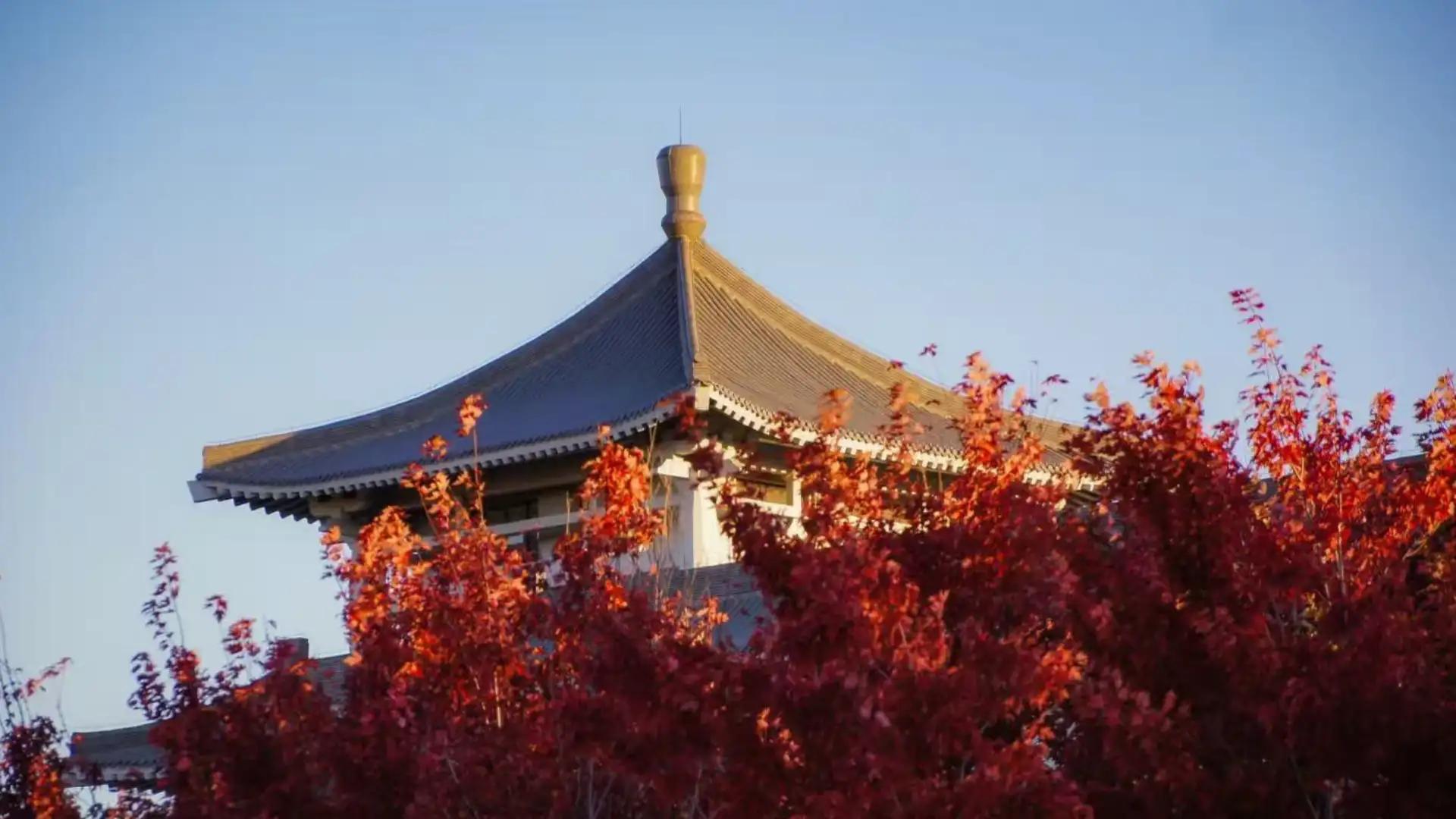 Autumn in Harbin