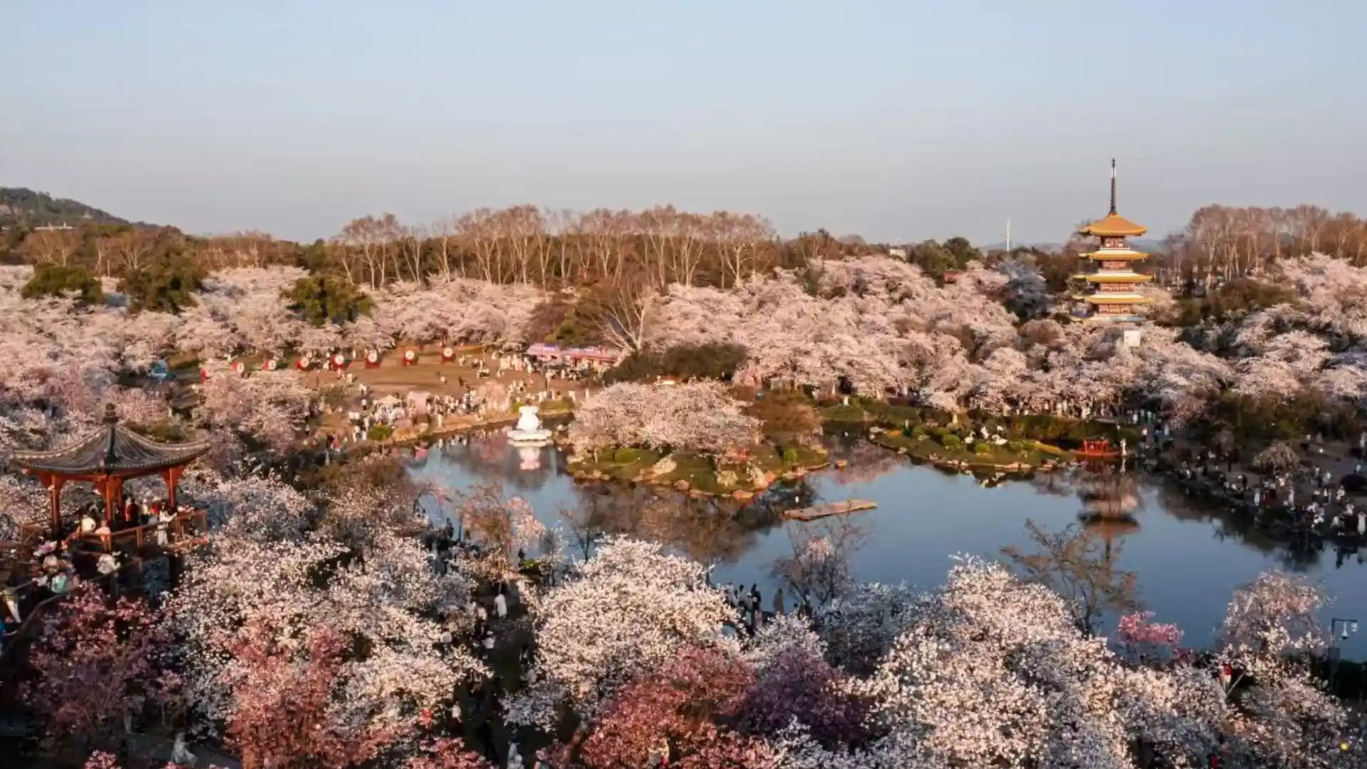 Spring in Wuhan