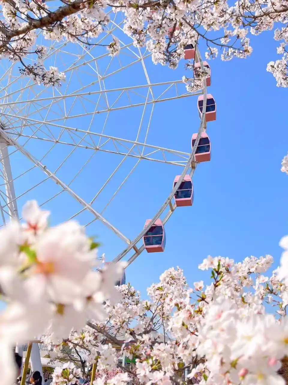 Spring in Shanghai
