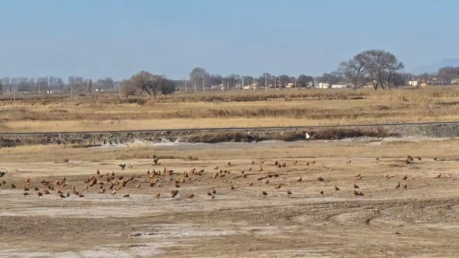 Hasuhai Grassland Area