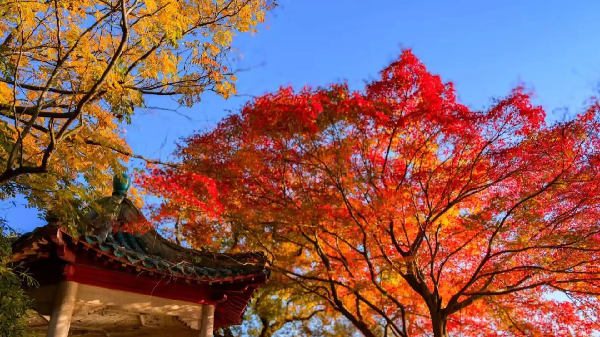 Orange Isle, Changsha