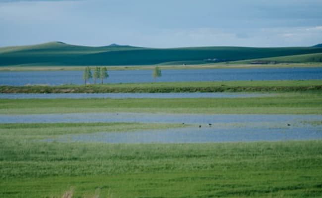 Mongolian Grasslands