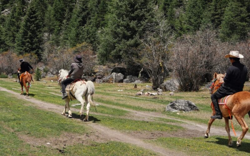 DISCOVER THE UNFILTERED TIBETAN PLATEAU
